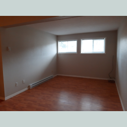 North facing living room 