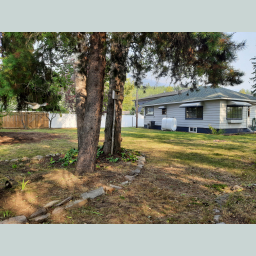 Beautiful lot with established trees